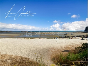 duplex-triplex à la vente -   56340  CARNAC, surface 43 m2 vente duplex-triplex - UBI480866024